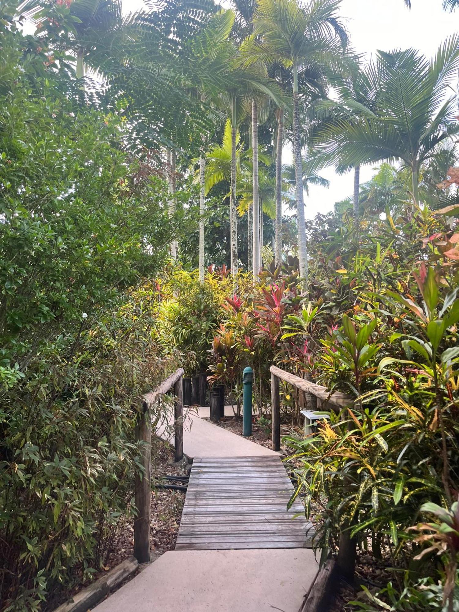 The Villas Palm Cove Buitenkant foto