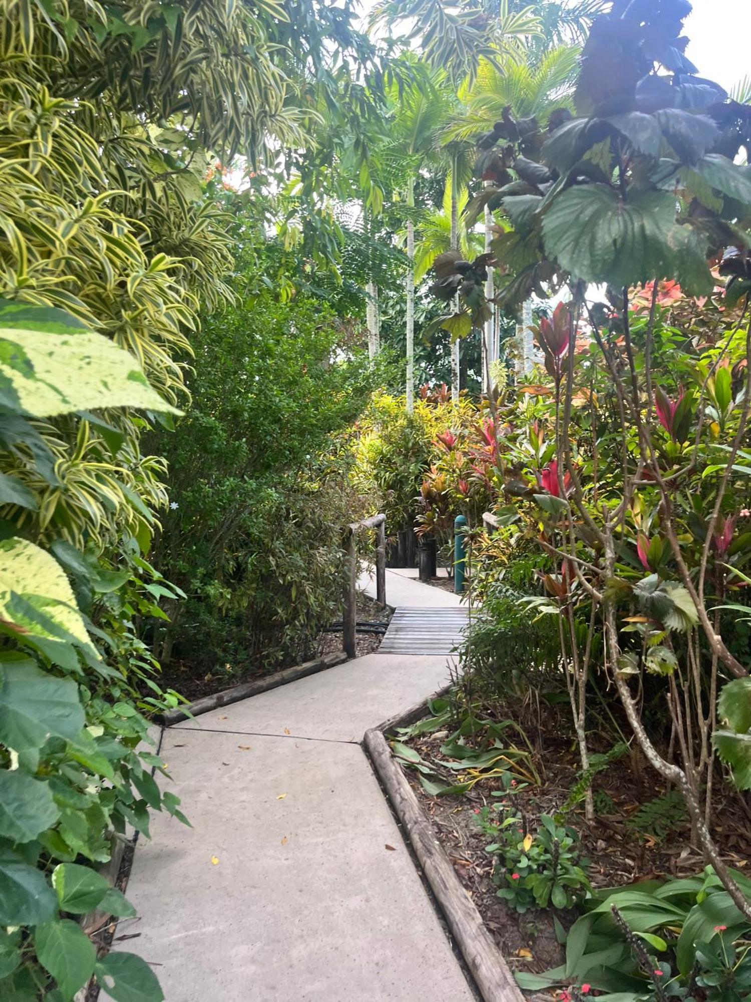 The Villas Palm Cove Buitenkant foto